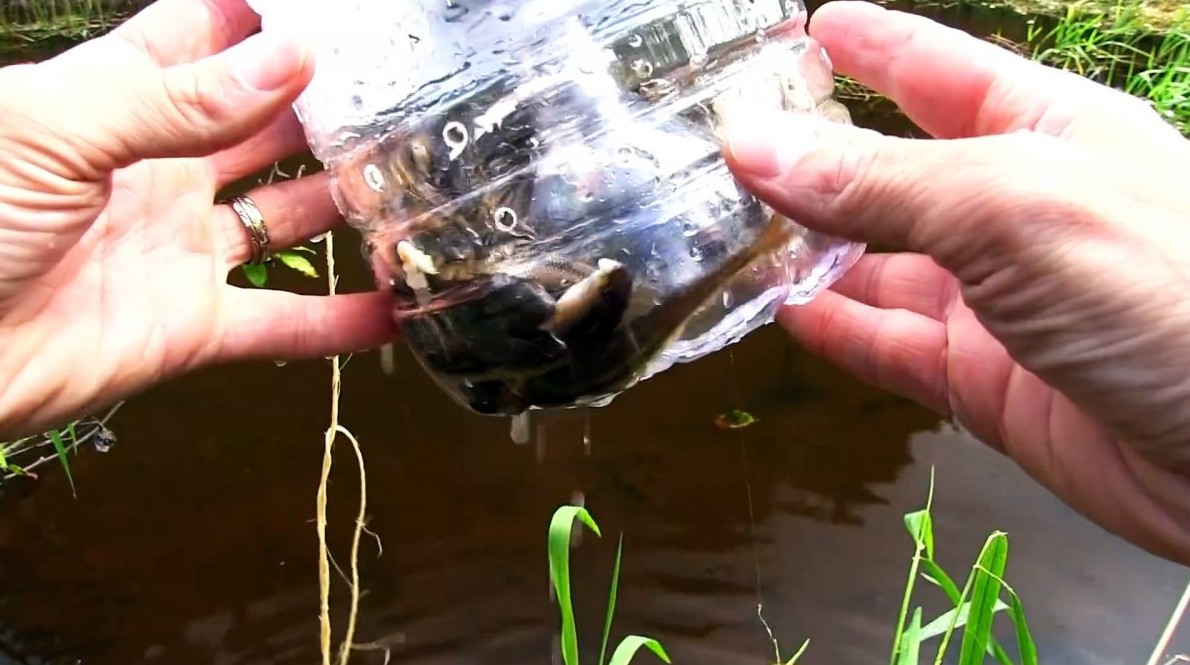 Как сделать уловистую ловушку для рыбы из ПЭТ бутыли