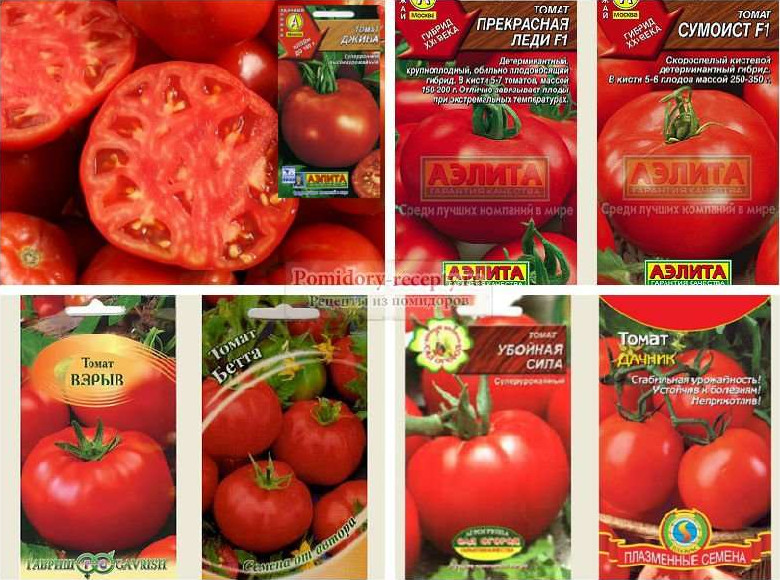 Список лучших сортов томата для посадки в открытом грунте - «Сад и огород»