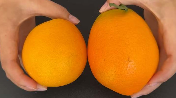 Главные отличительные признаки самых сочных и сладких апельсинов - «Своими руками»